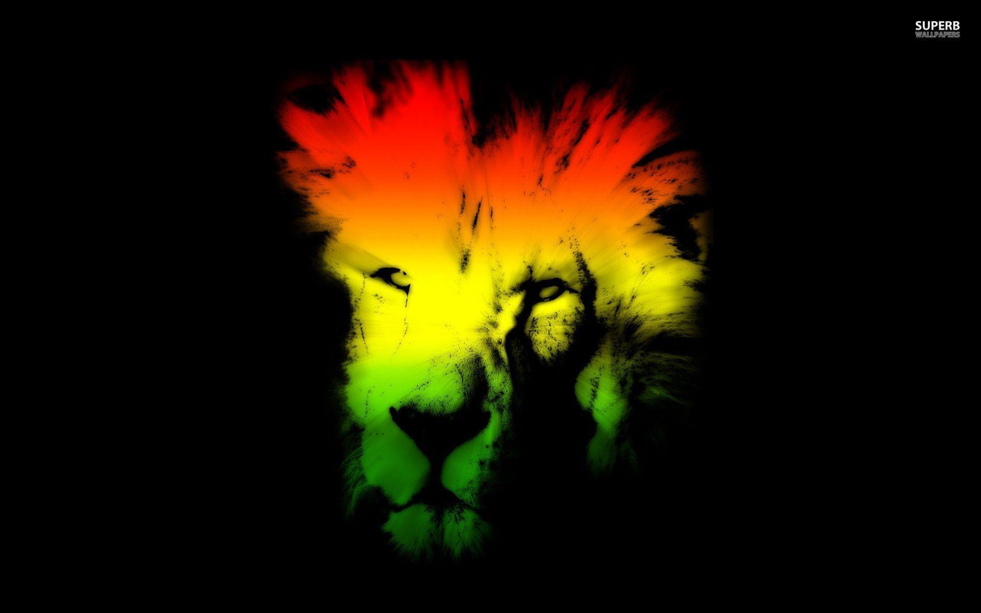 Lion wallpapers