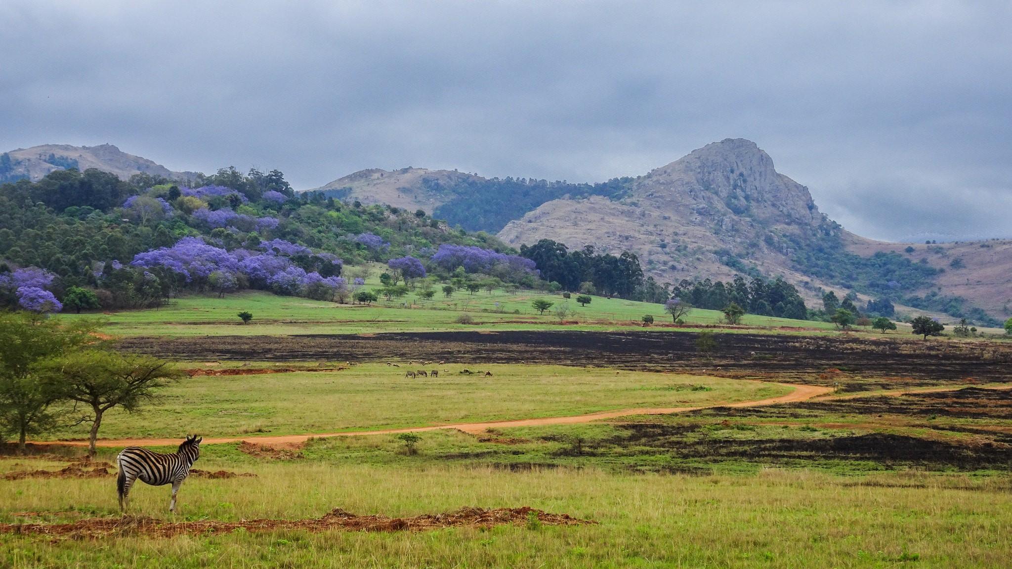 From Swaziland to eSwatini: the Story of the Kingdom’s Name Change