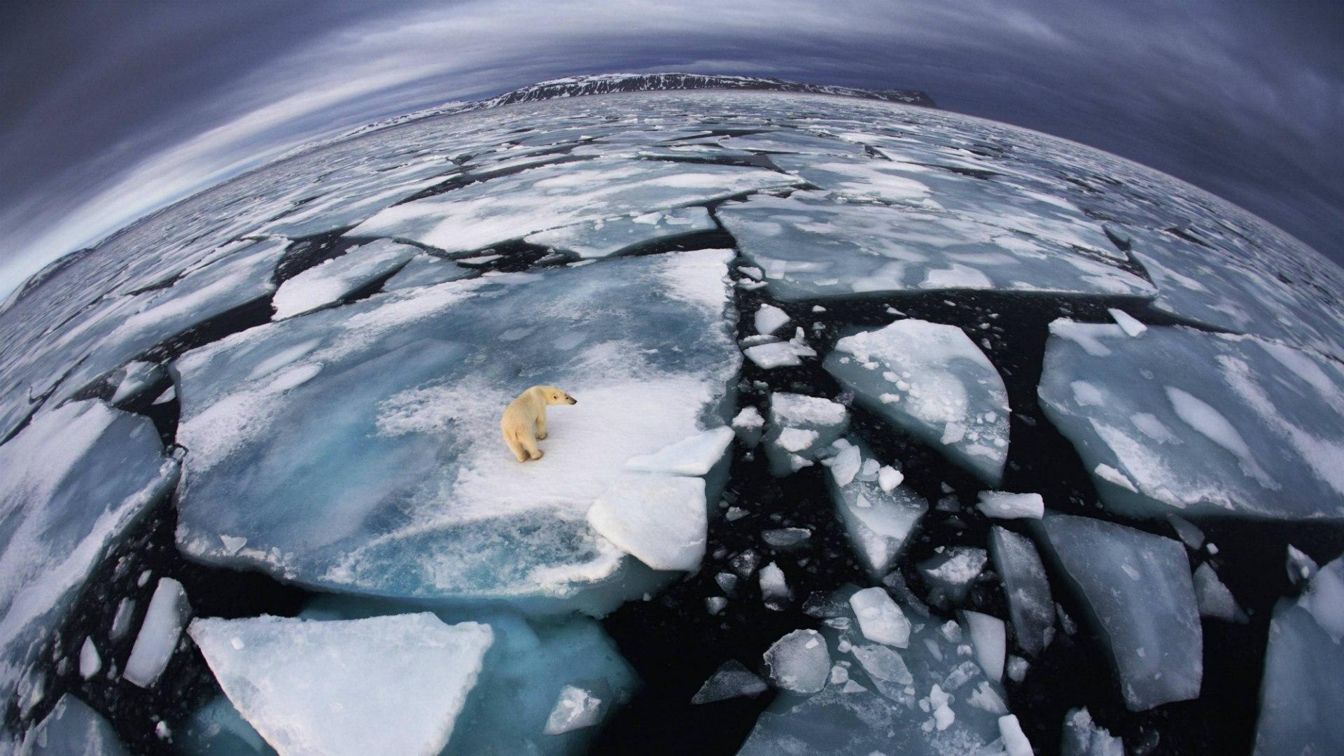 Svalbard, between Norway and the North Pole wallpapers and image