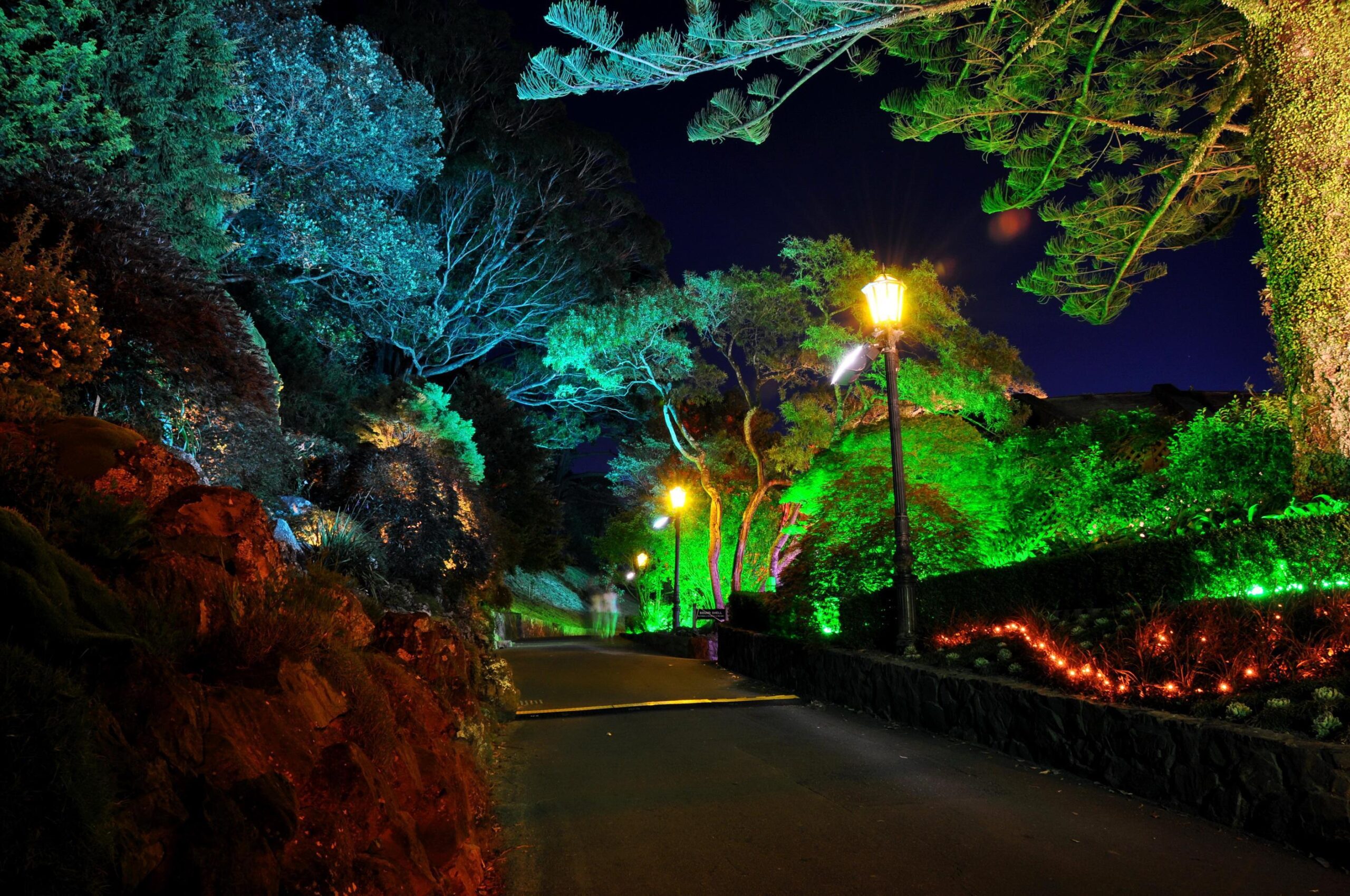 Gardens Roads New Zealand Wellington Botanical Night Street lights