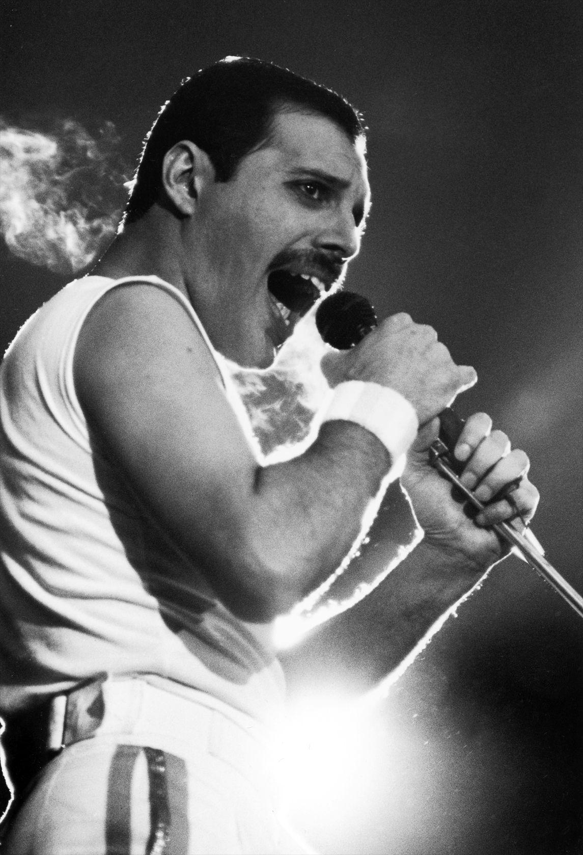 Freddie Mercury HD Desktop Wallpapers