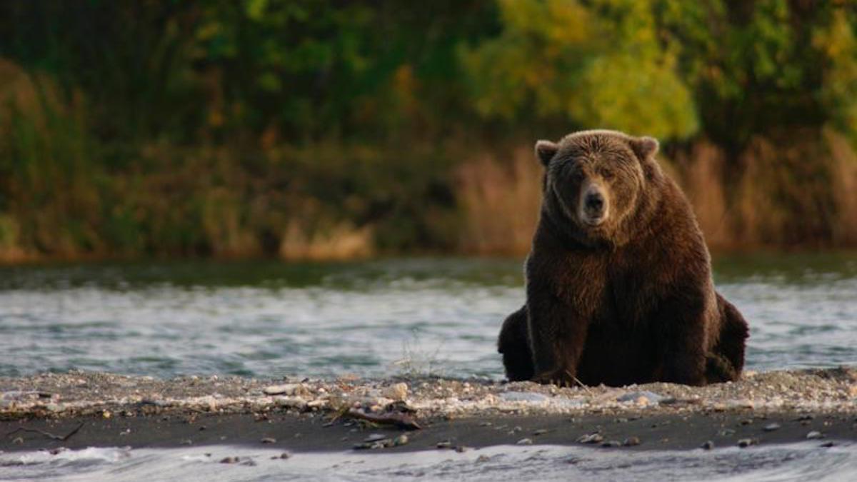 Celebrate the National Park Service Centennial with these 100