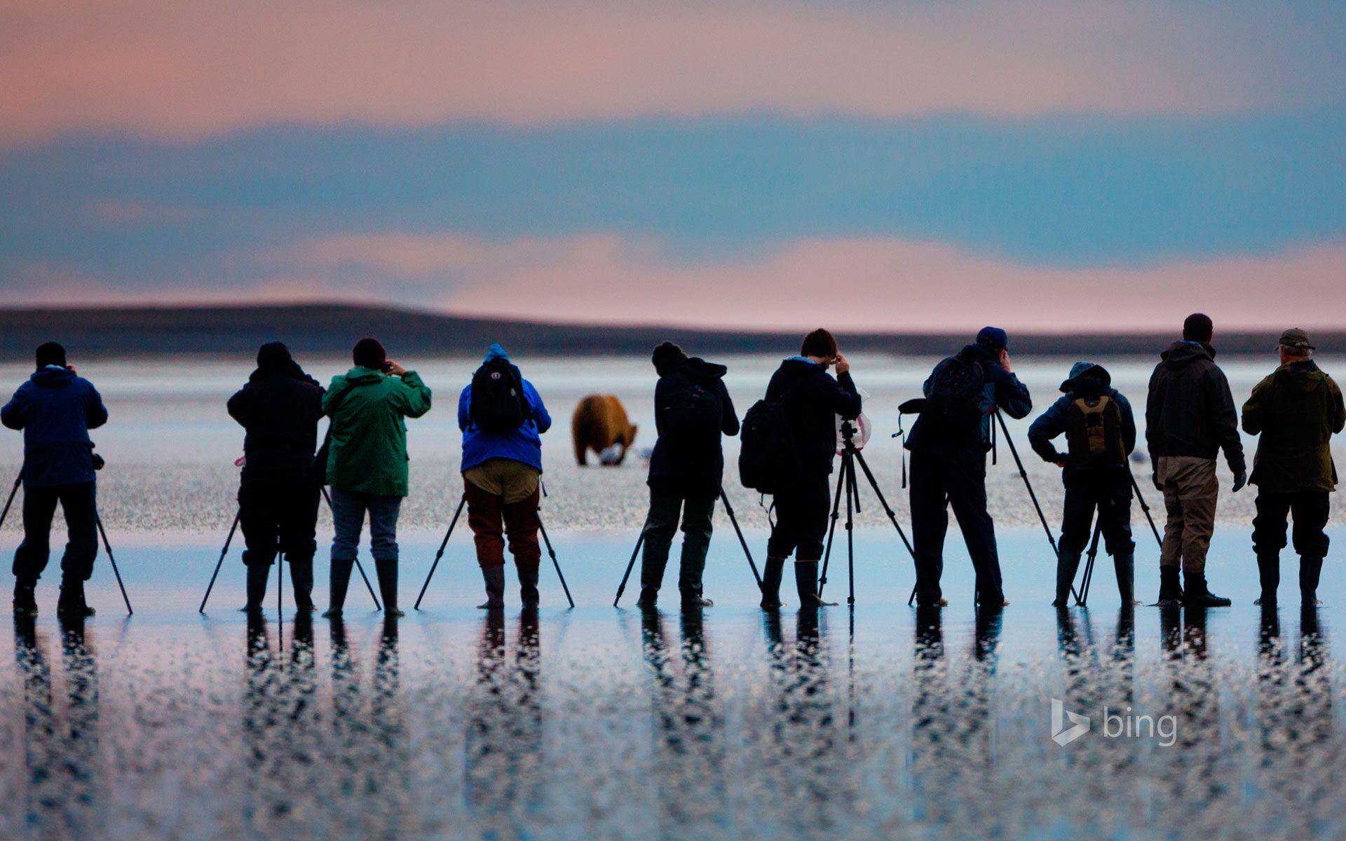 Photographing a brown bear in Lake Clark National Park and