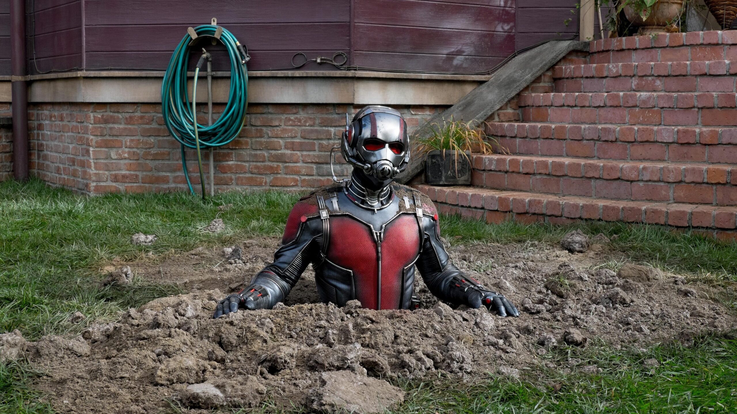 Ant Man And The Wasp 2018, HD Movies, 4k Wallpapers, Image