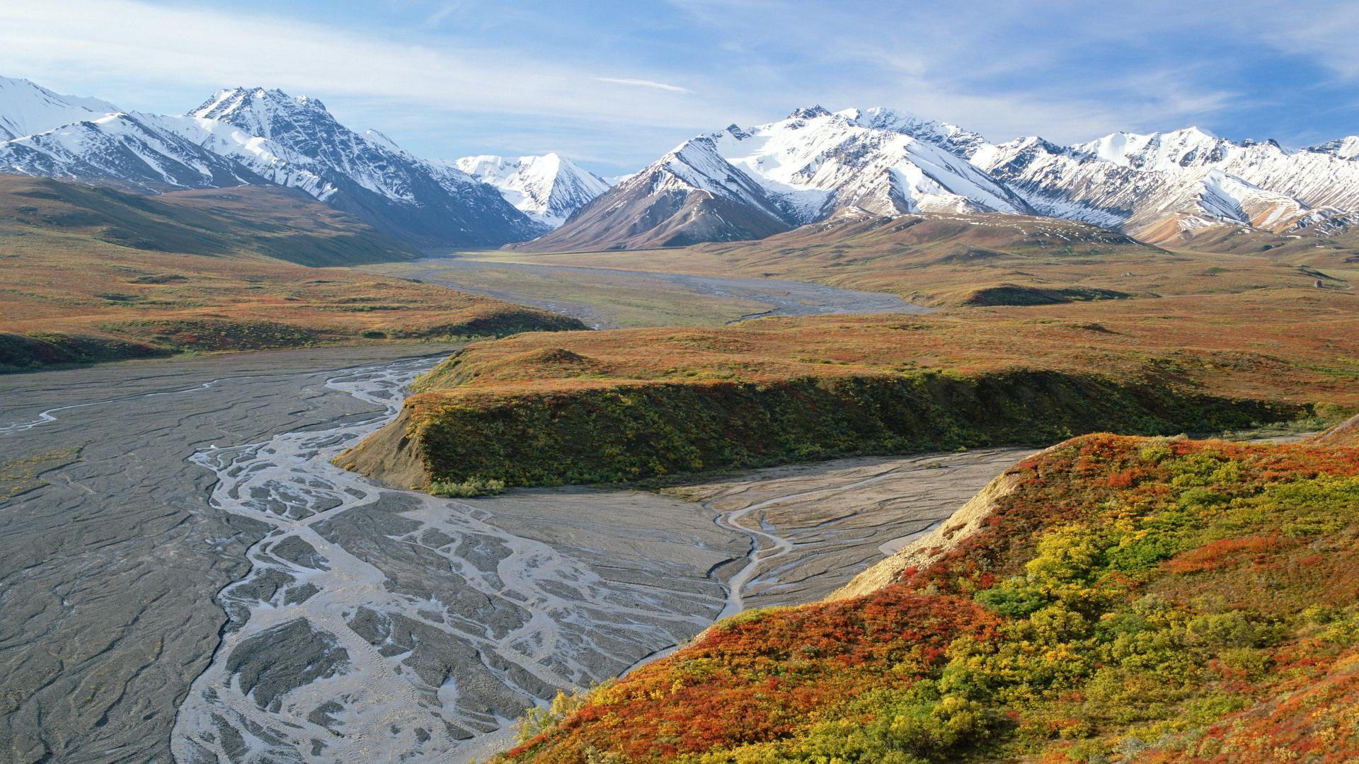 Denali National Park Alaska