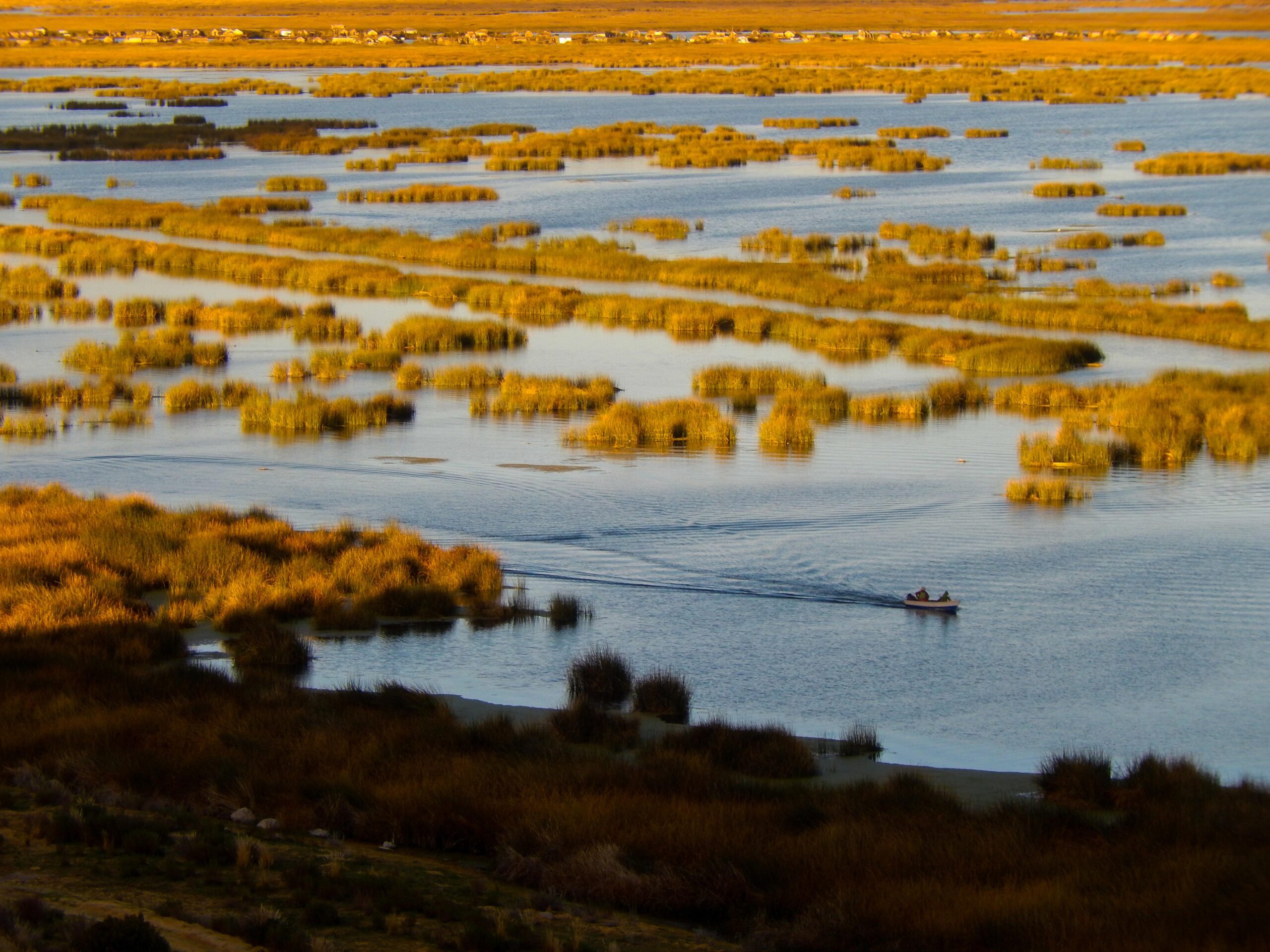 Free stock photo of Lake Titicaca, peru, Uros Indians