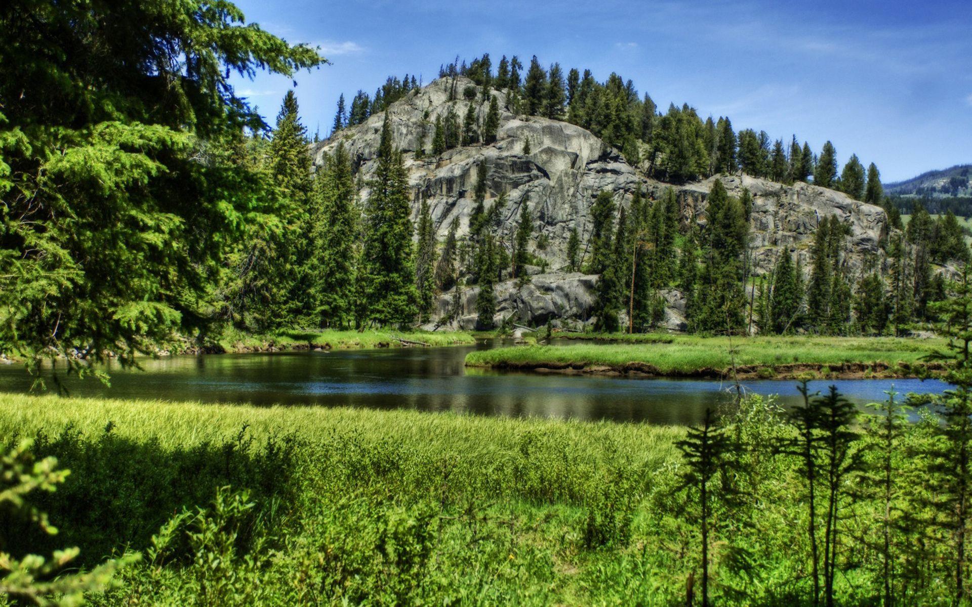 Wallpapers yellowstone national park, usa, mountain, river, spruce