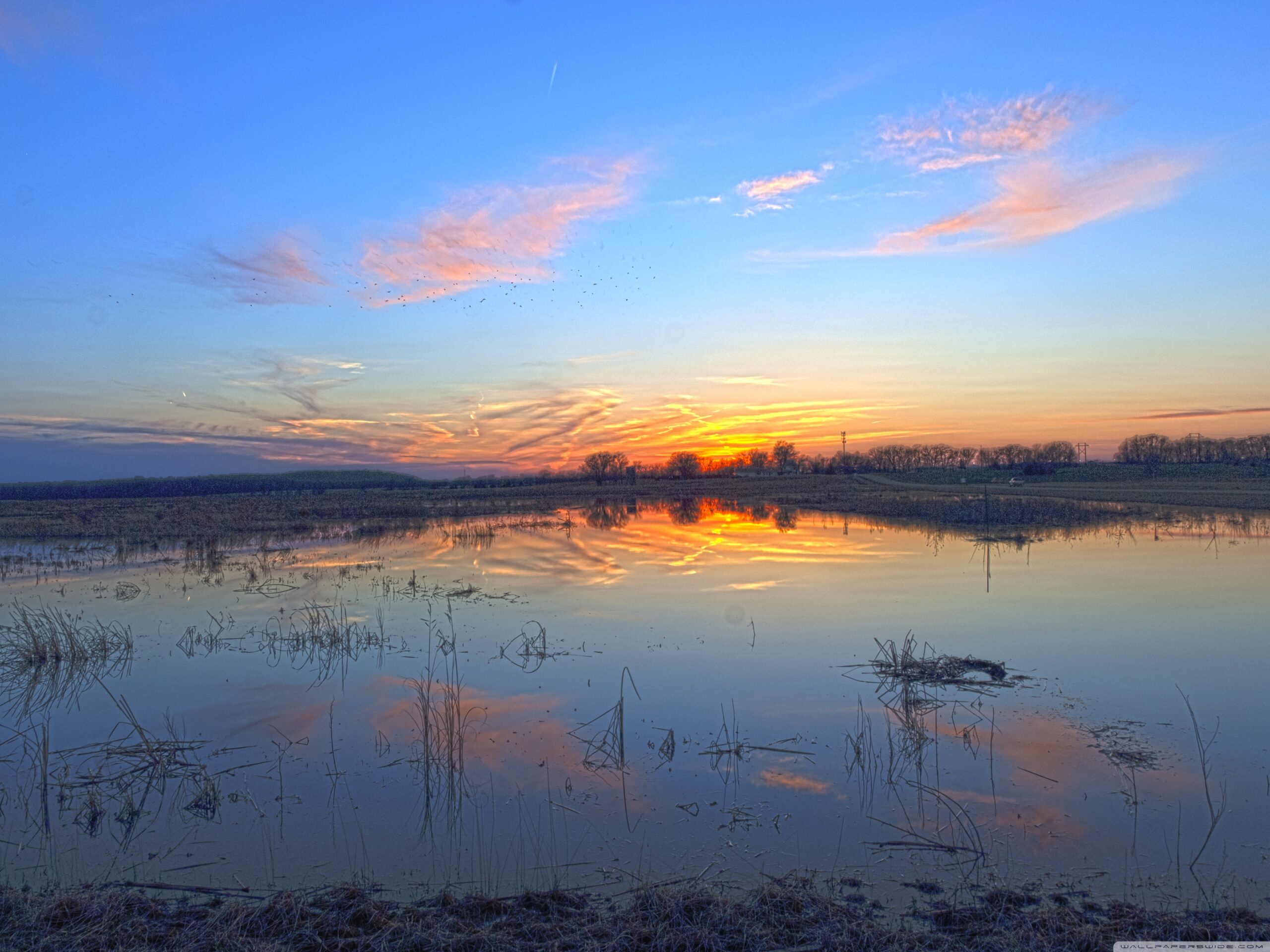 Baker Wetlands, Kansas ❤ 4K HD Desktop Wallpapers for 4K Ultra HD TV