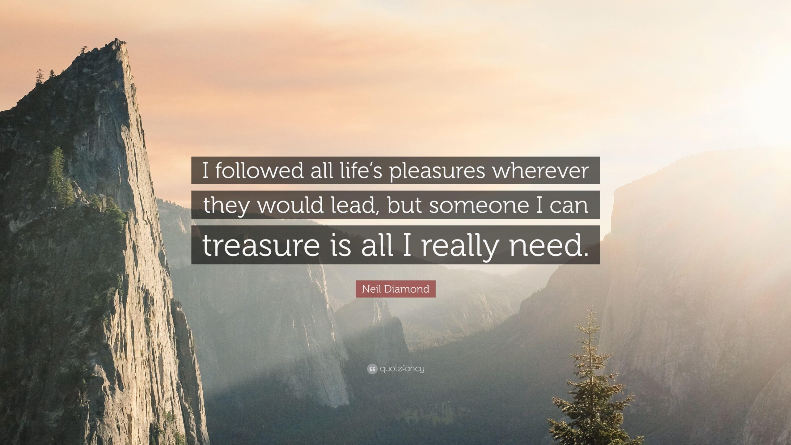 Neil Diamond Quote: “I followed all life’s pleasures wherever they