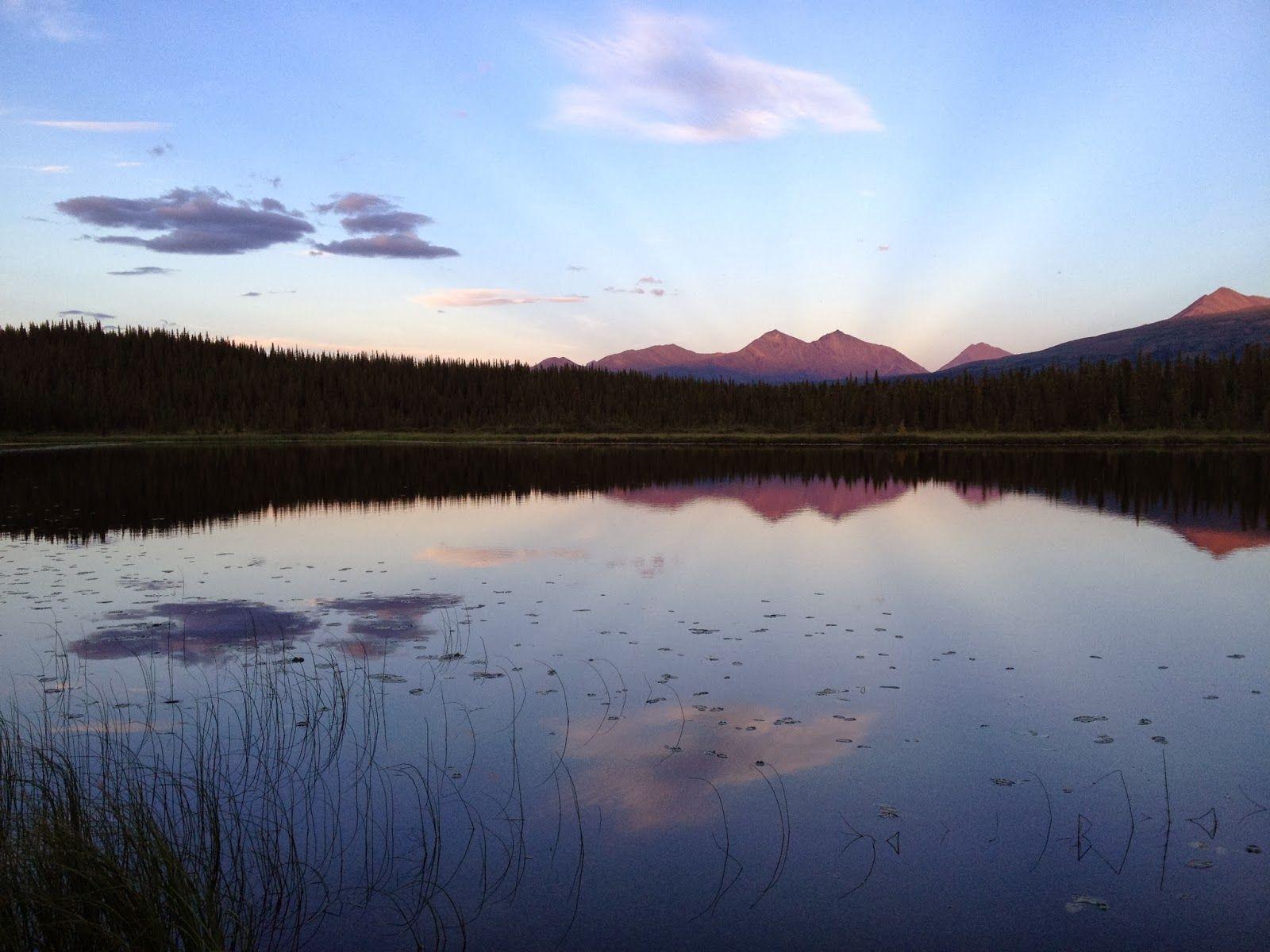 denali national park alaska wallpapers