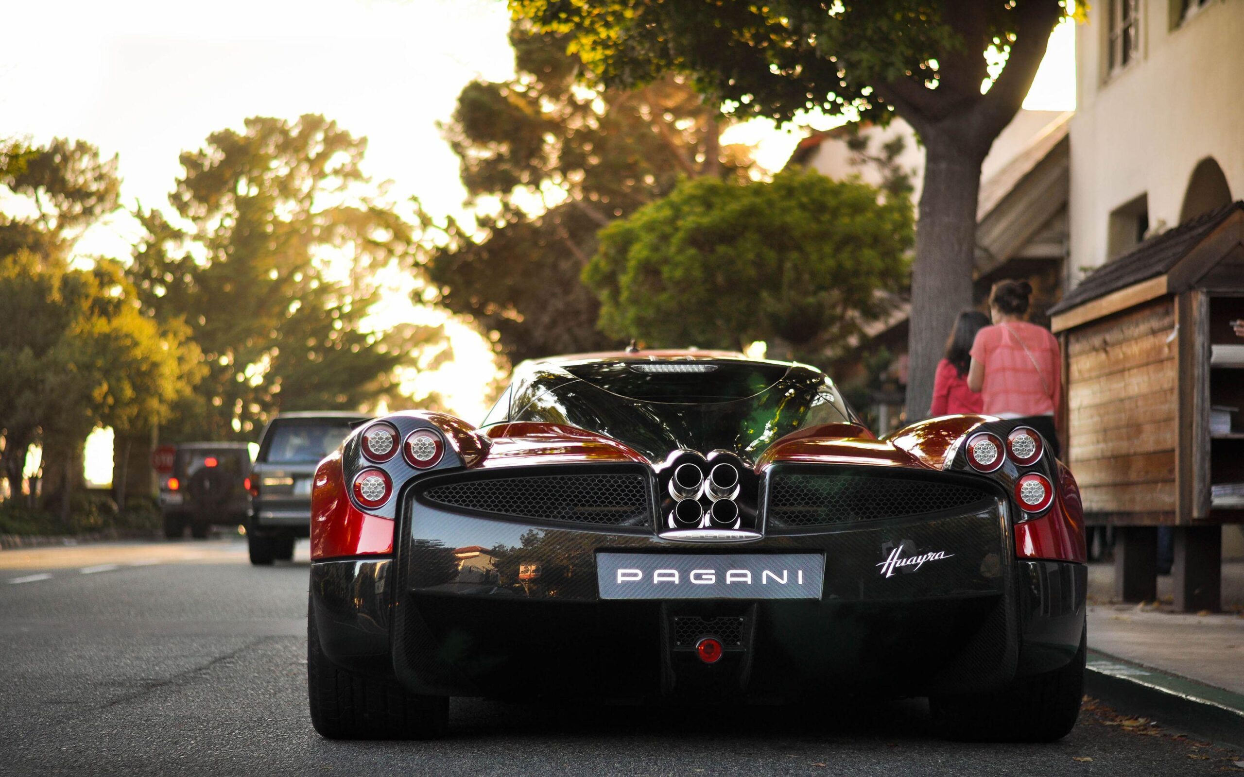 Pagani zonda r