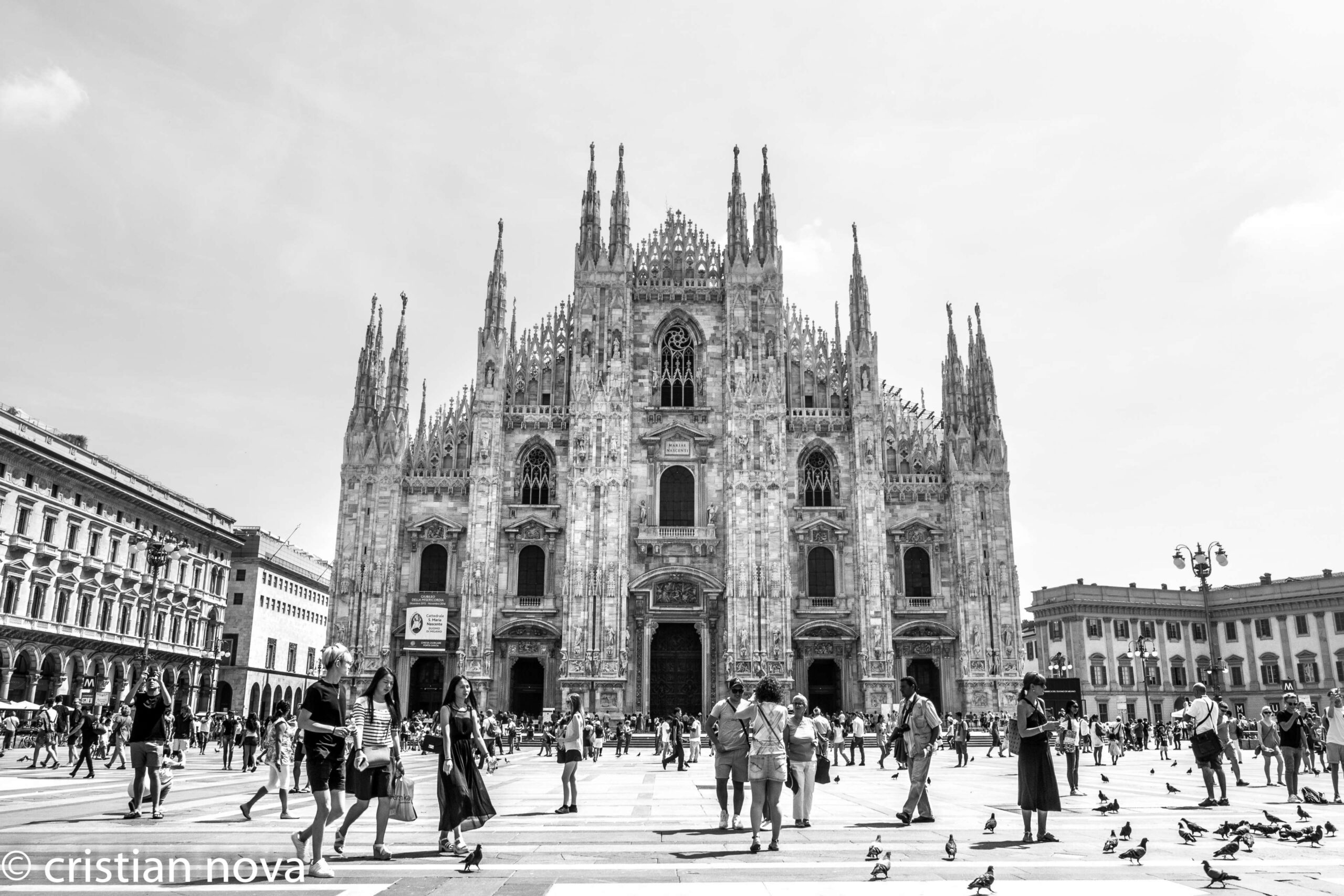 bw, bird, black and white, bw, cathedral, cathedral square, downtown