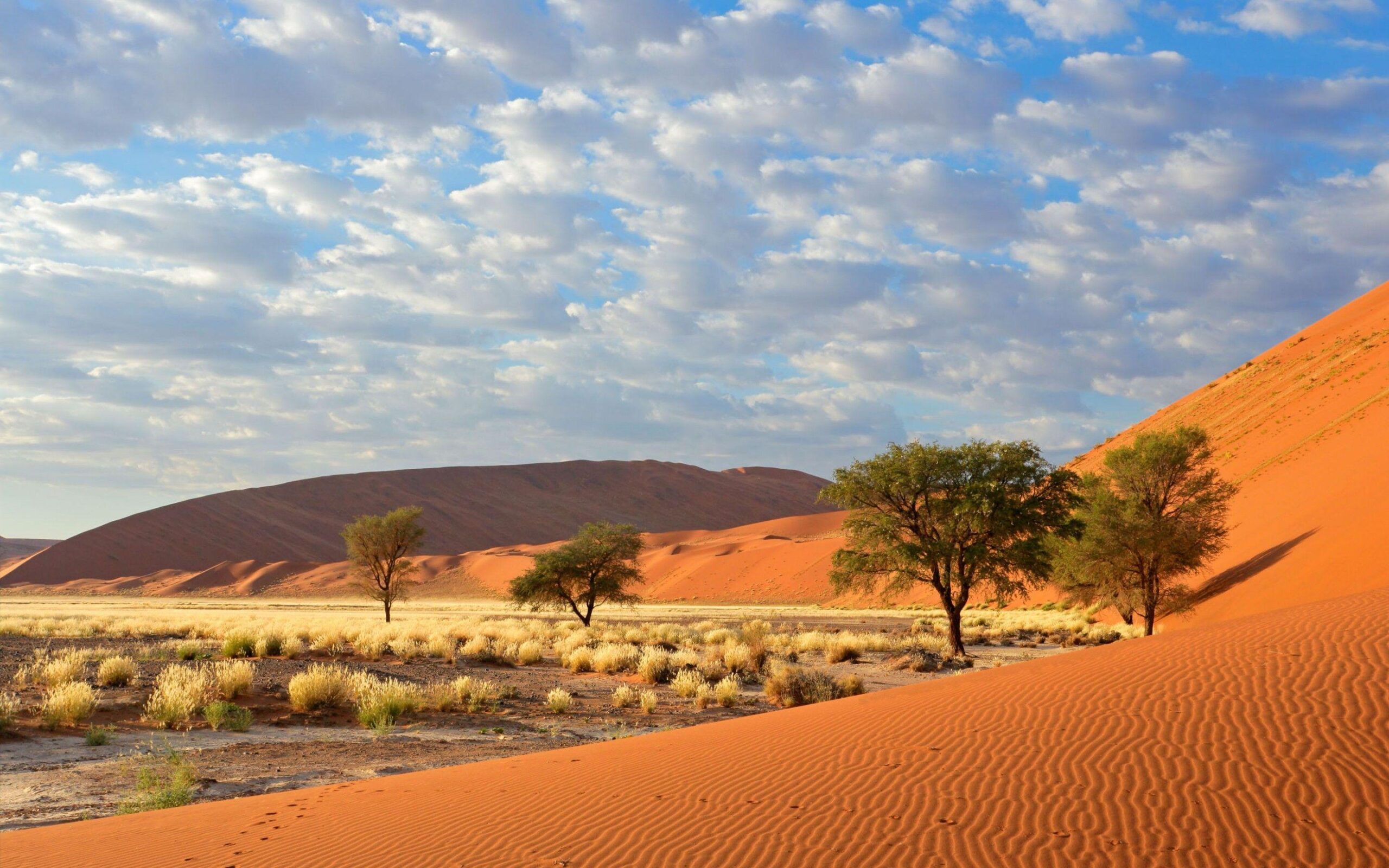 Sossusvlei Namib Naukluft National Park Namibia