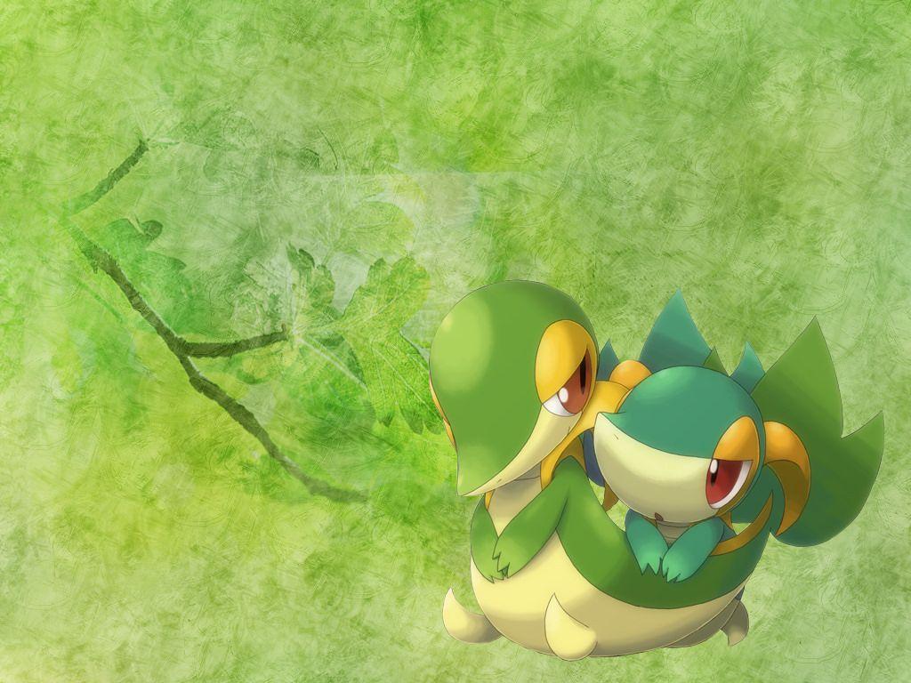 Image of Snivy Wallpapers