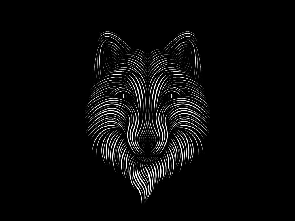 Download wallpapers fox, line, art, bw standard 4:3 hd