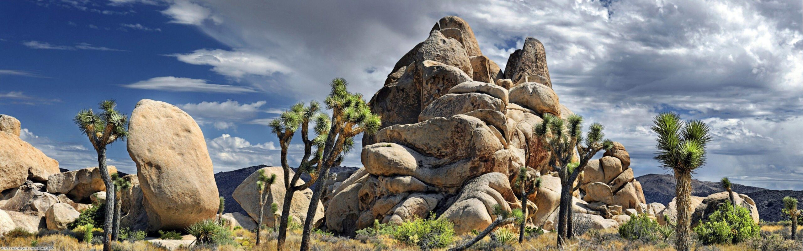 nature, Landscape, Rock, Joshua Tree National Park Wallpapers HD