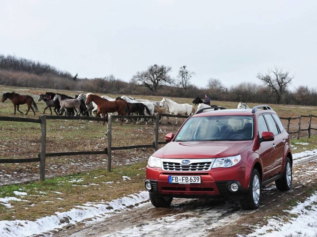 wallpaper: Subaru Forester Off Road Wallpapers