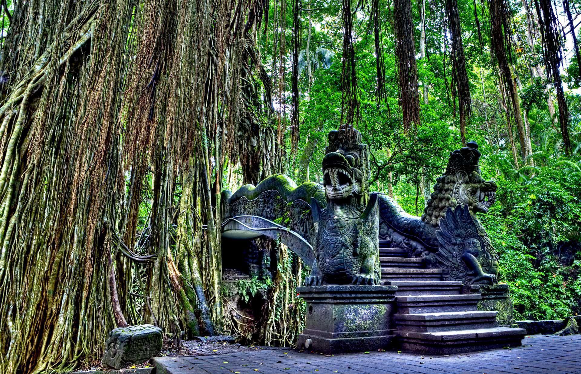 Ubud Wallpapers Hd