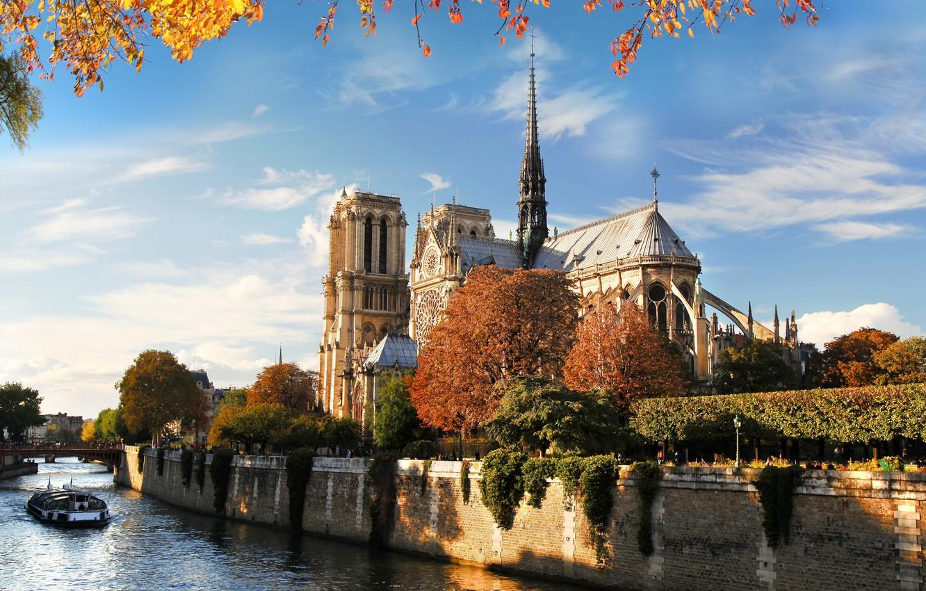 Wallpapers autumn, bridge, nature, the city, river, France, Paris