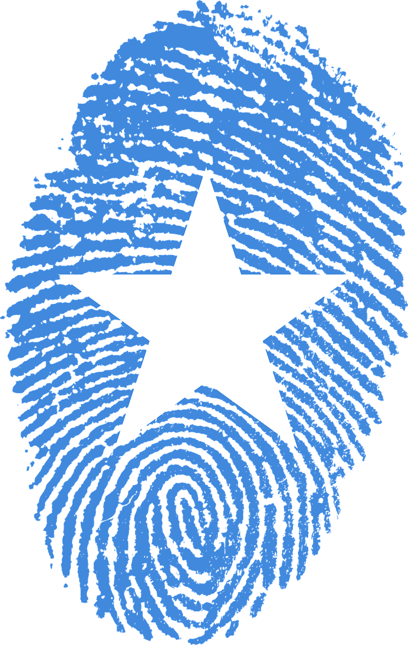 Travel, Somalia Flag Fingerprint Country Pride Ide