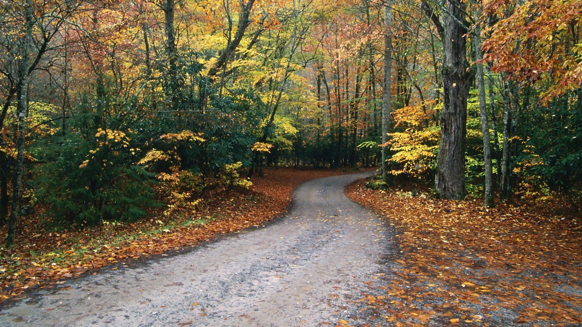 North Carolina Wallpapers for Computer