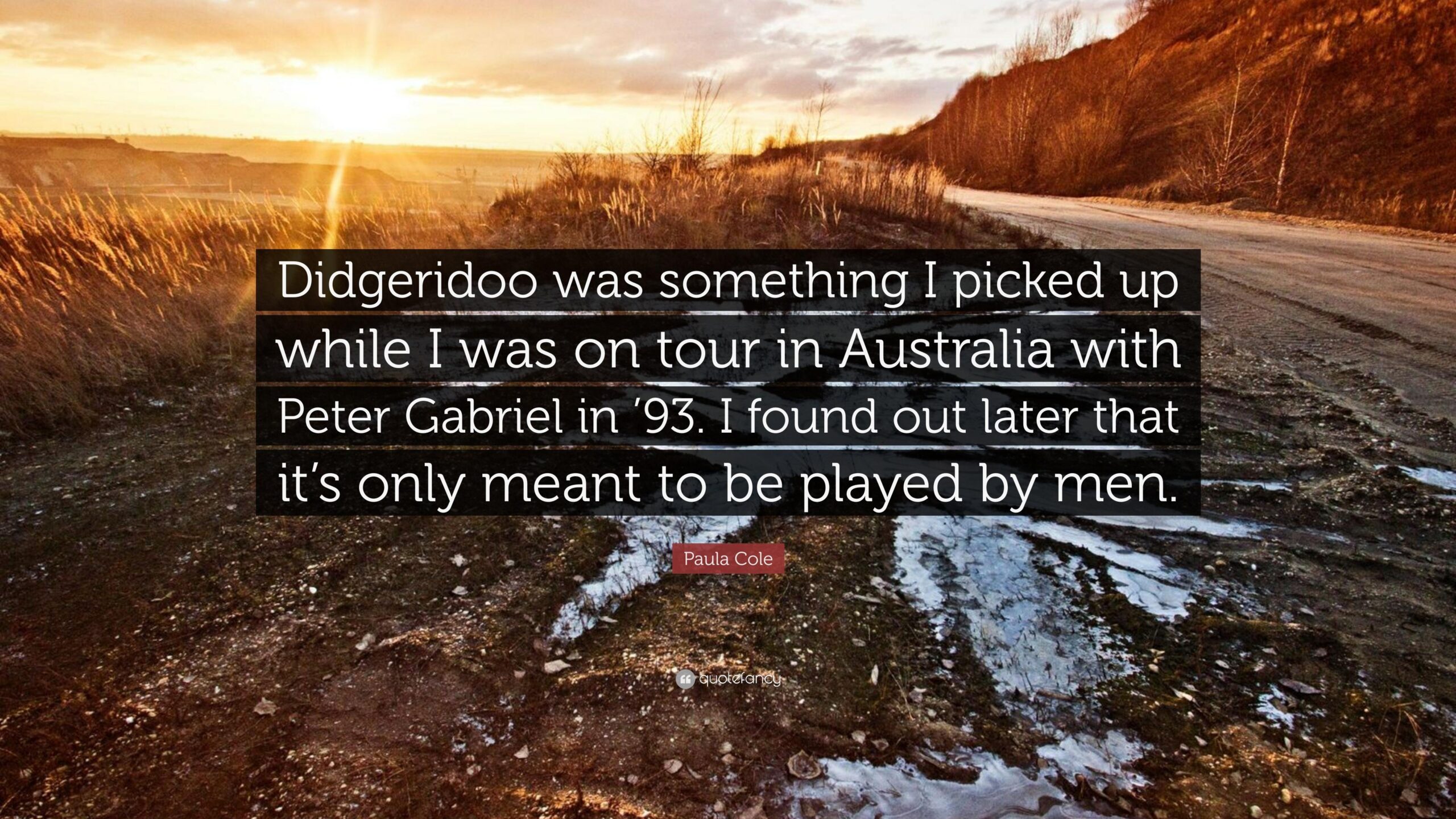 Paula Cole Quote: “Didgeridoo was something I picked up while I was