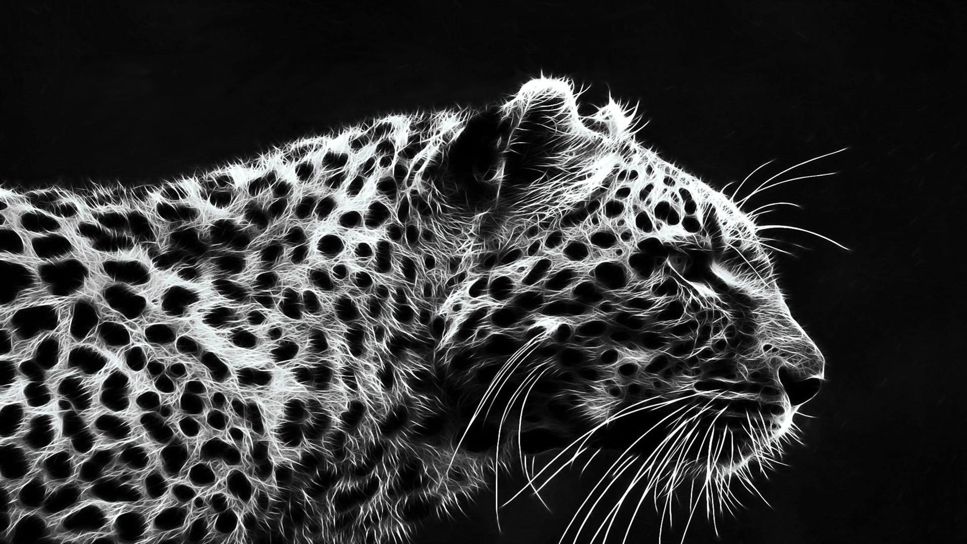 Jaguar Wallpapers