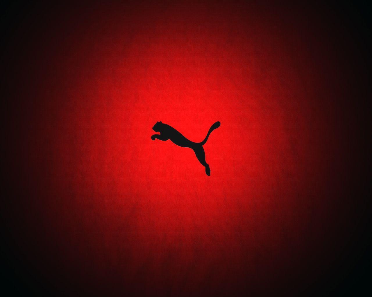 HD Puma Wallpapers