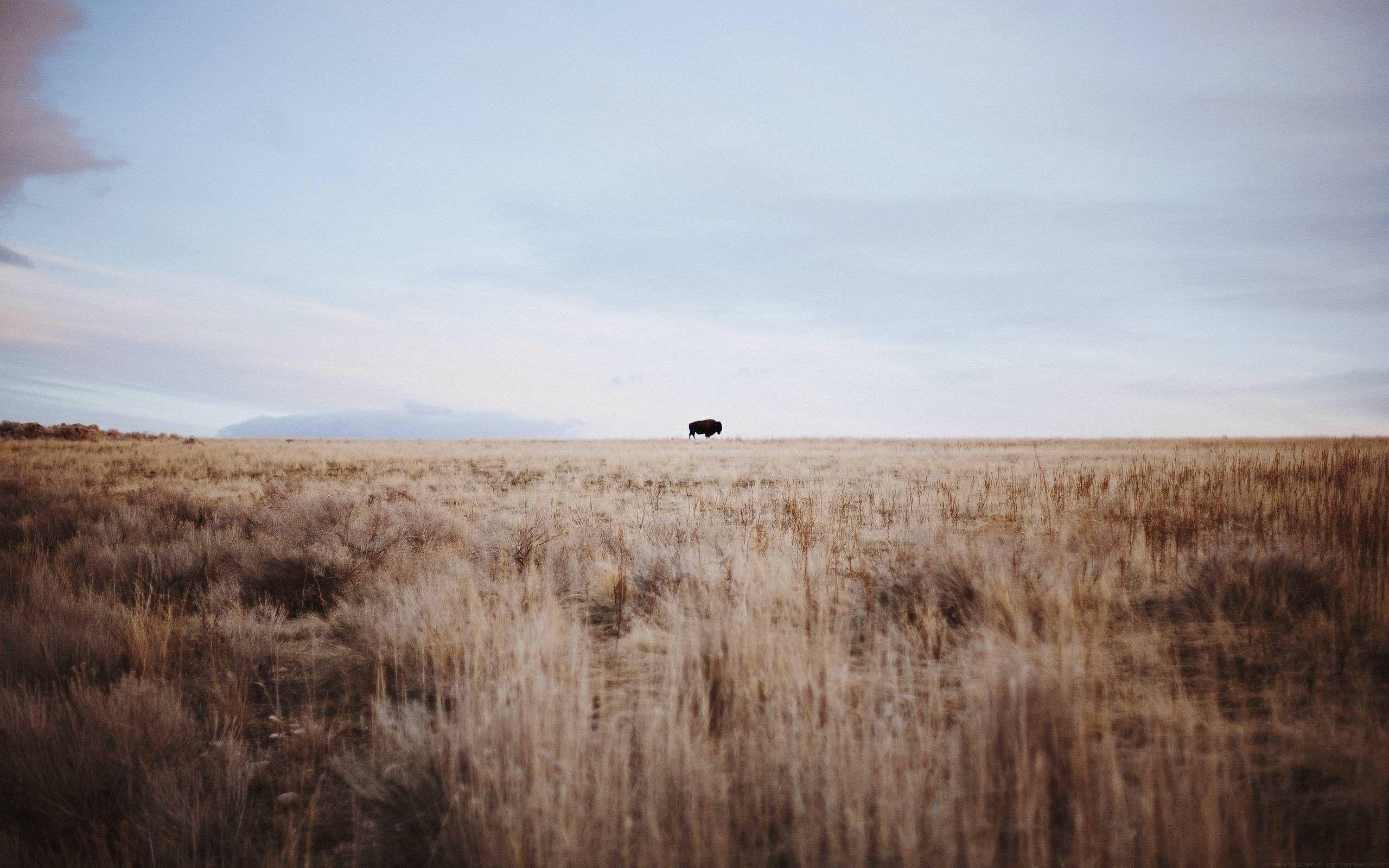 Antelope Island Desktop wallpapers