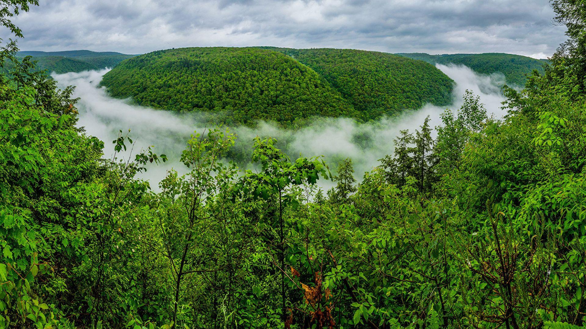 Wallpapers Pennsylvania USA Grand Canyon of Pennsylvania,