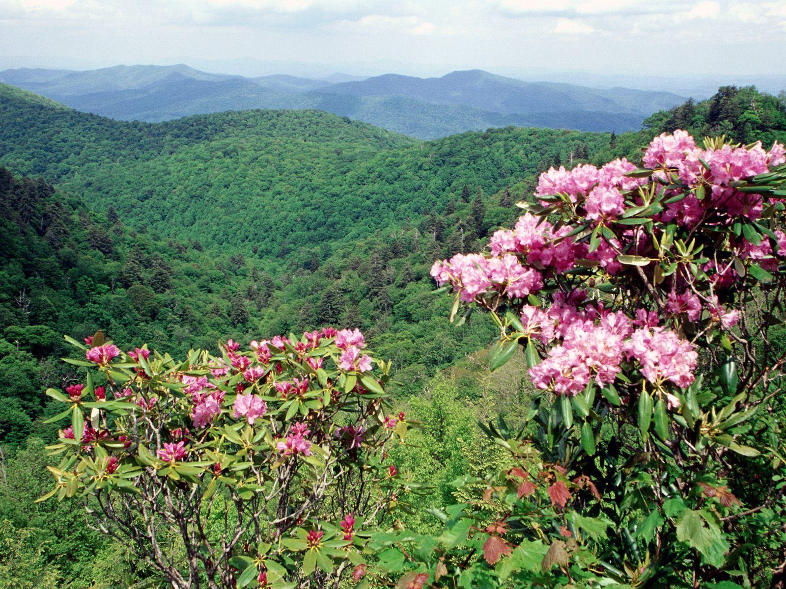 Blue Ridge Parkway wallpapers