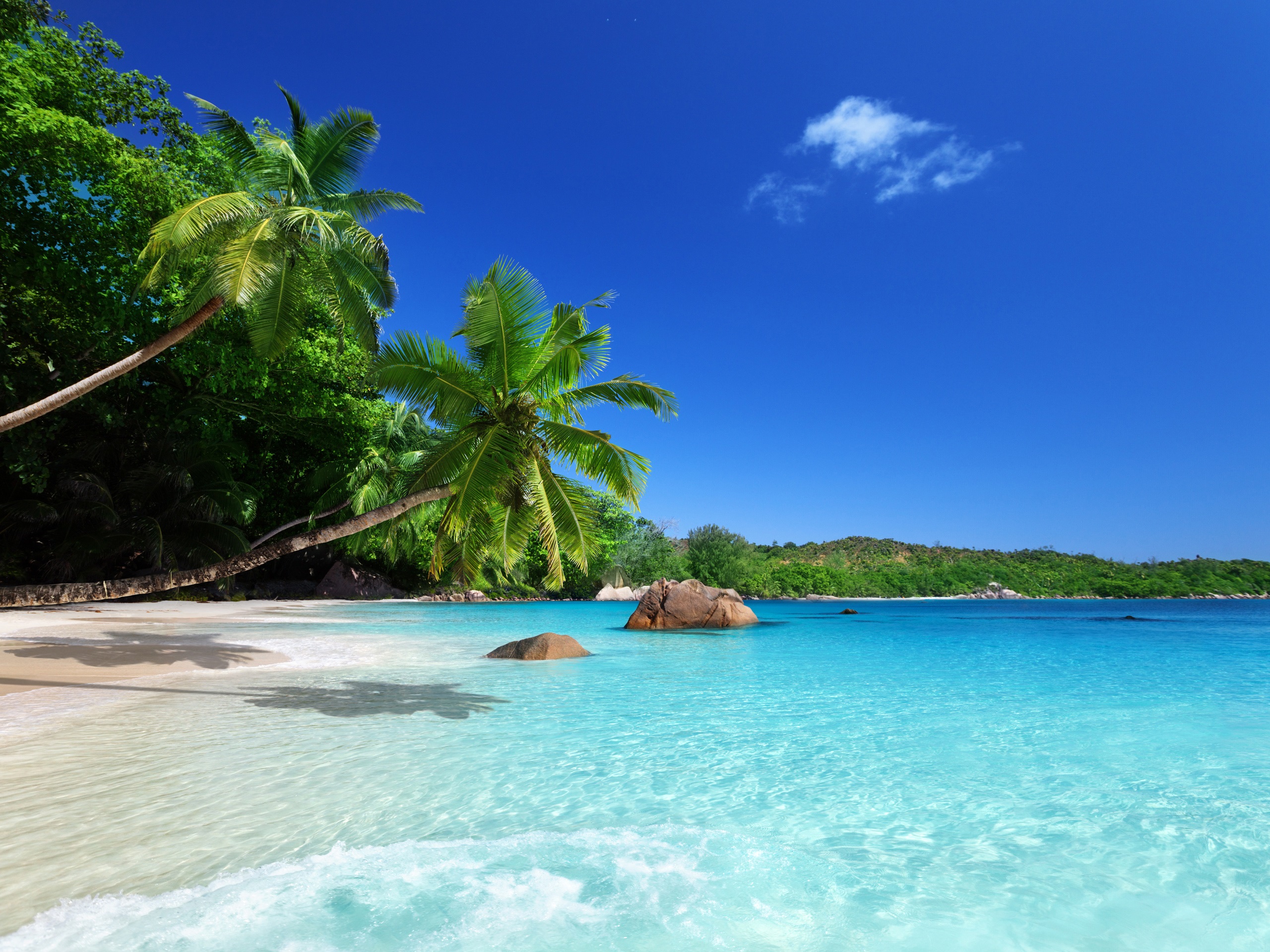 Wallpapers Tropical paradise, sunshine, beach, coast, sea, palm trees