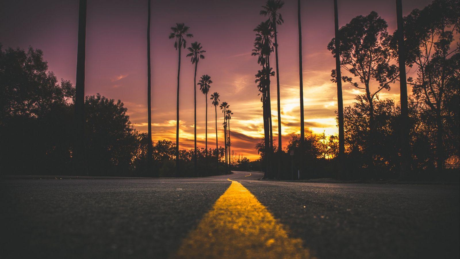 Download wallpapers palms, road, marking, trees, sky