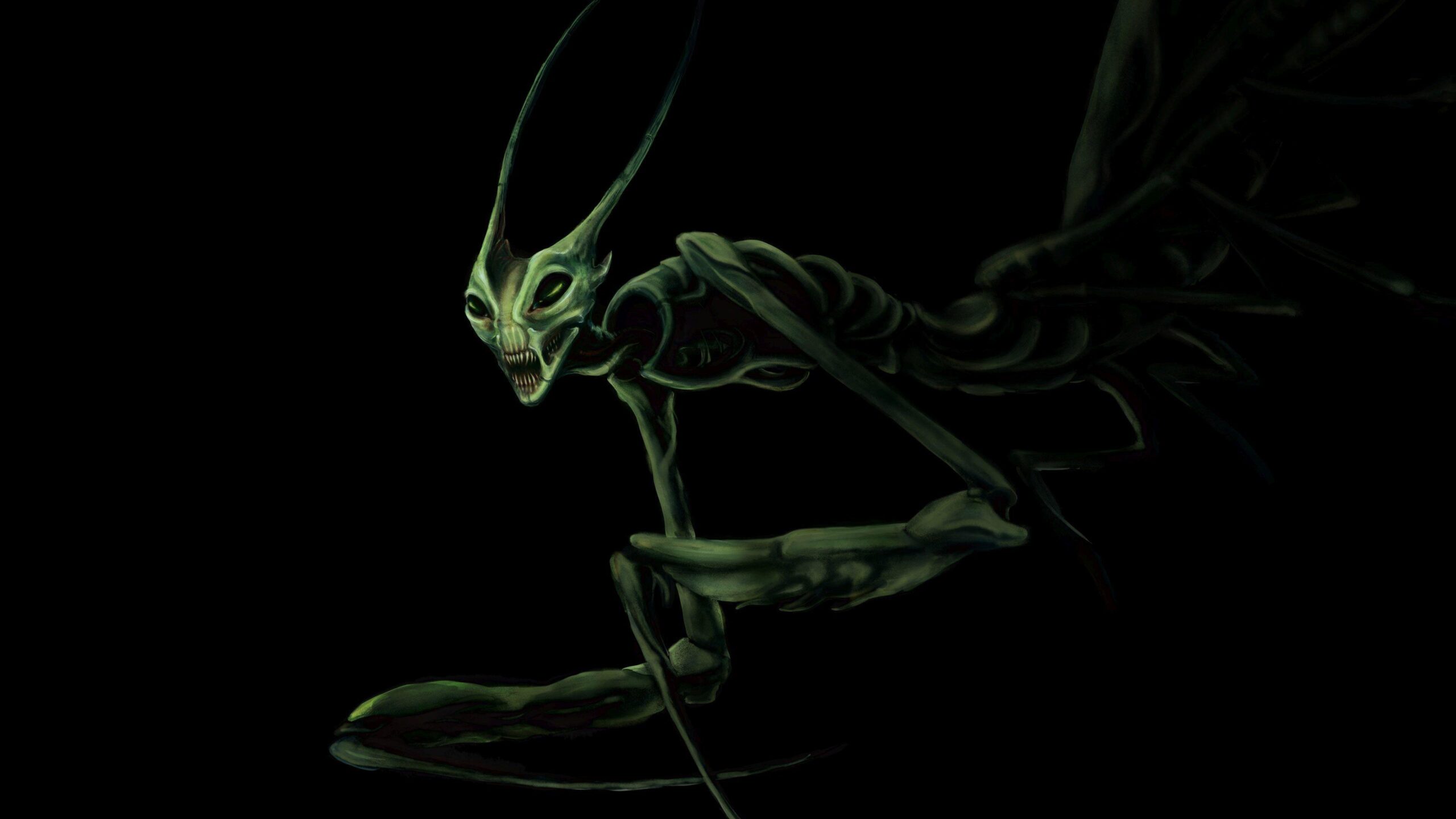 Top 89 Praying Mantis Wallpapers