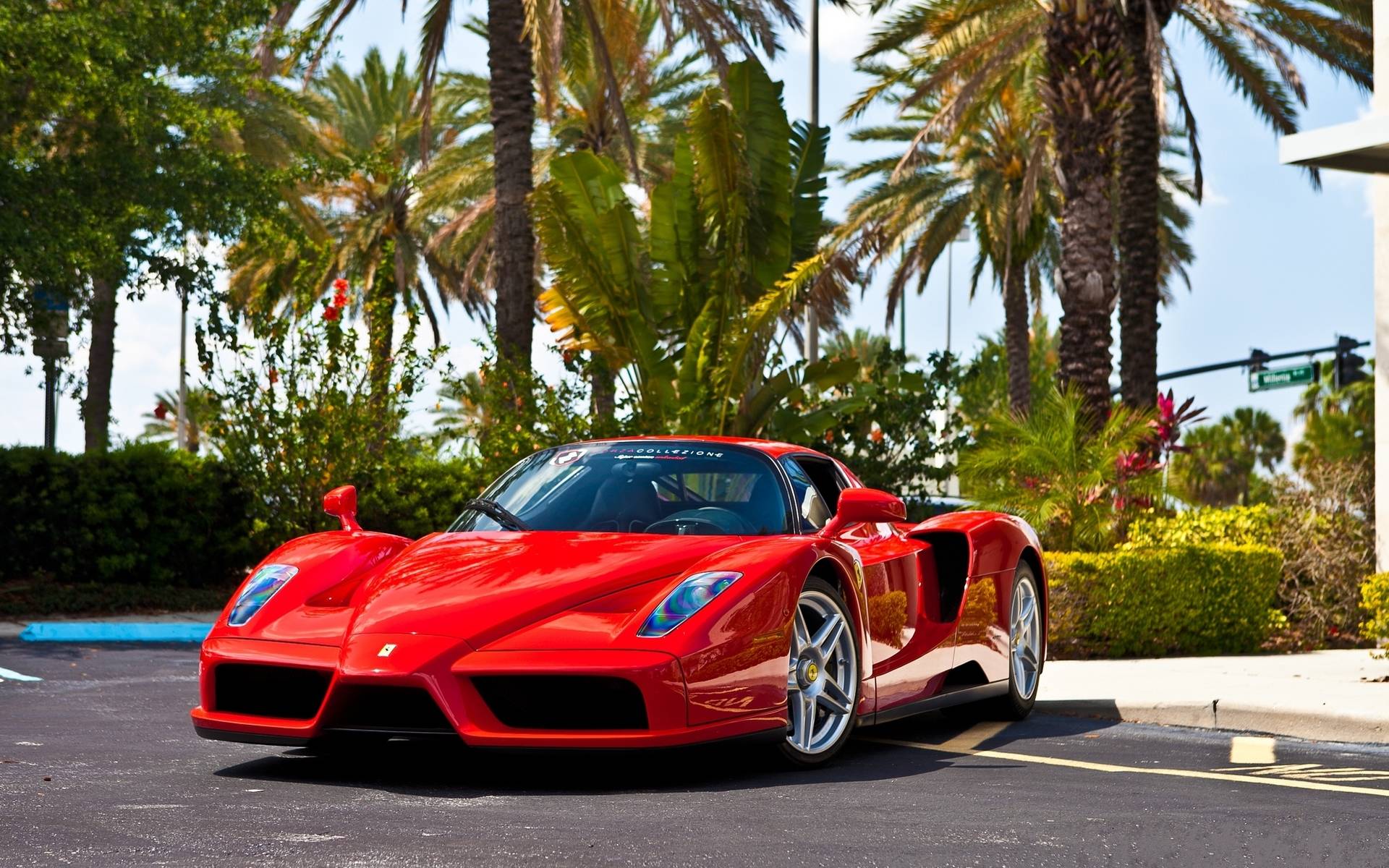 Ferrari Enzo Wallpapers