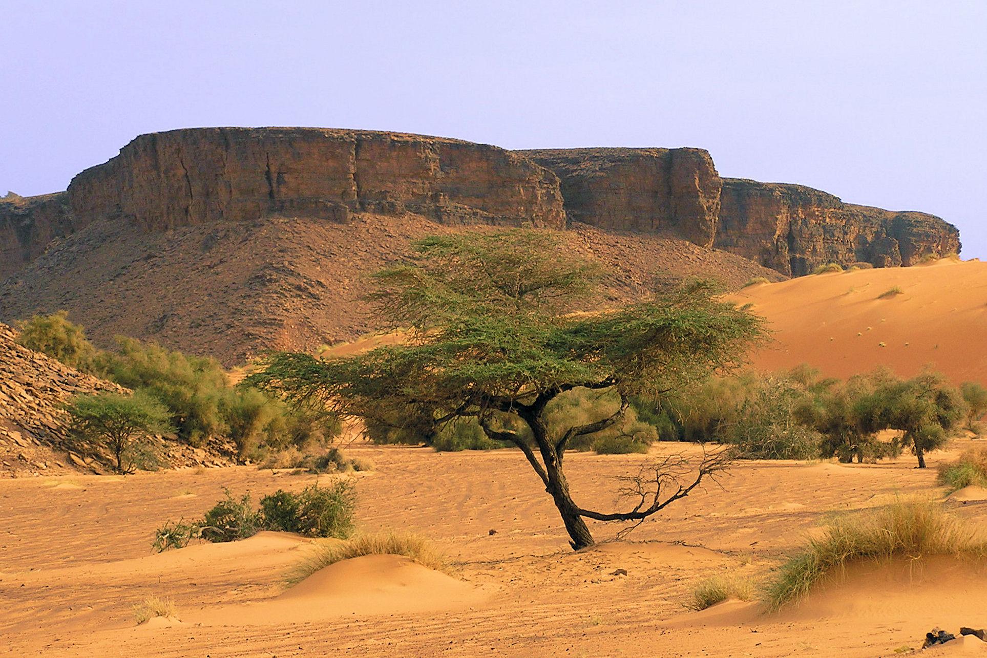 Mauritania