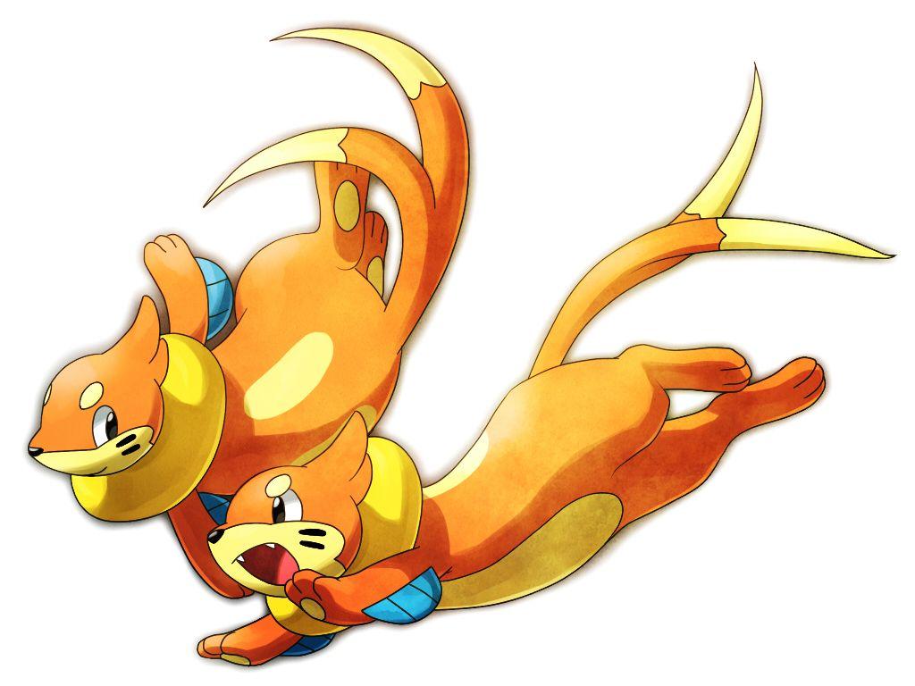 Buizel