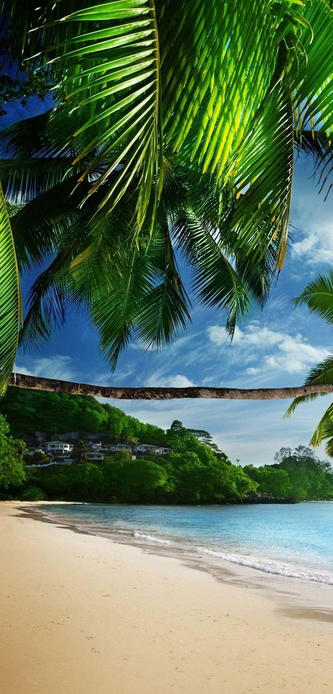 Tropical Beach Wallpapers