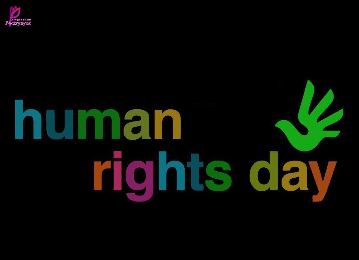 Human Rights Day Wallpapers HD Download