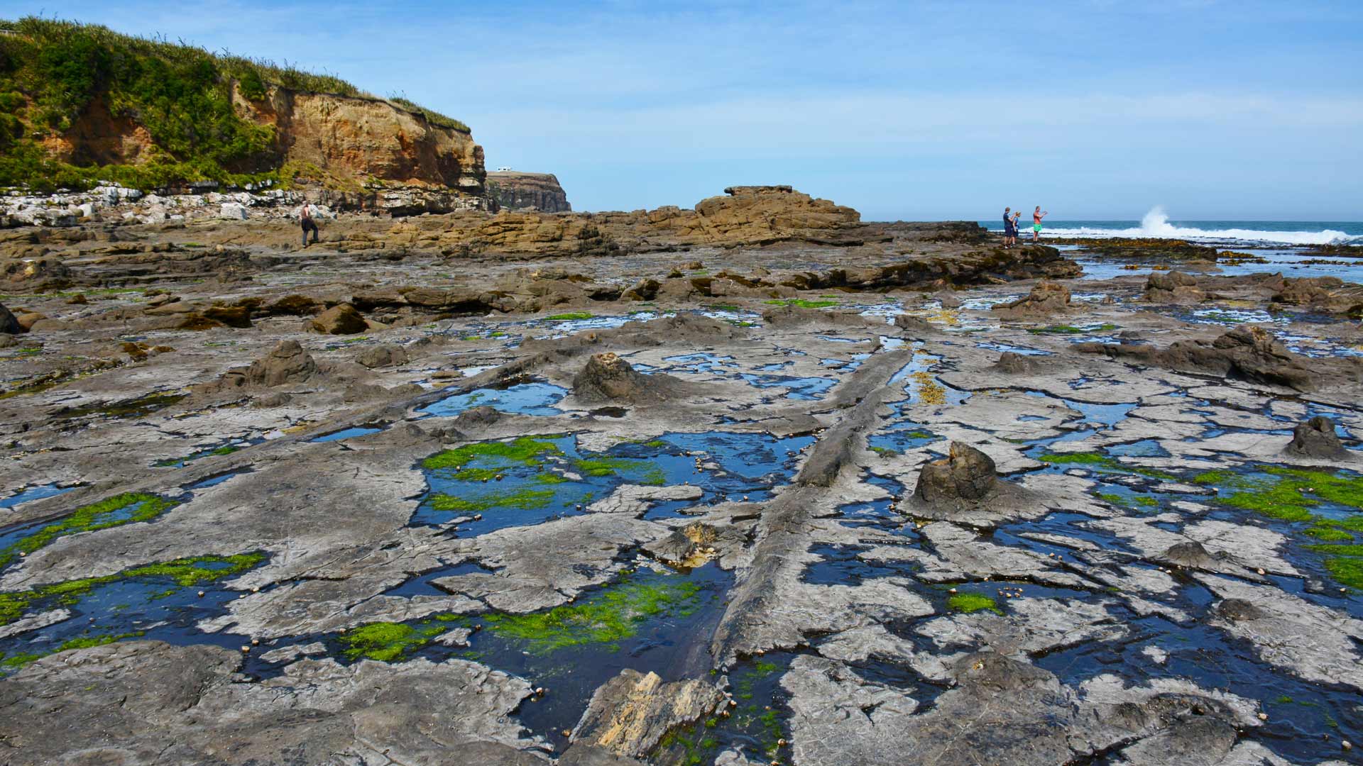 Curio Bay/Porpoise Bay: Southland places to visit