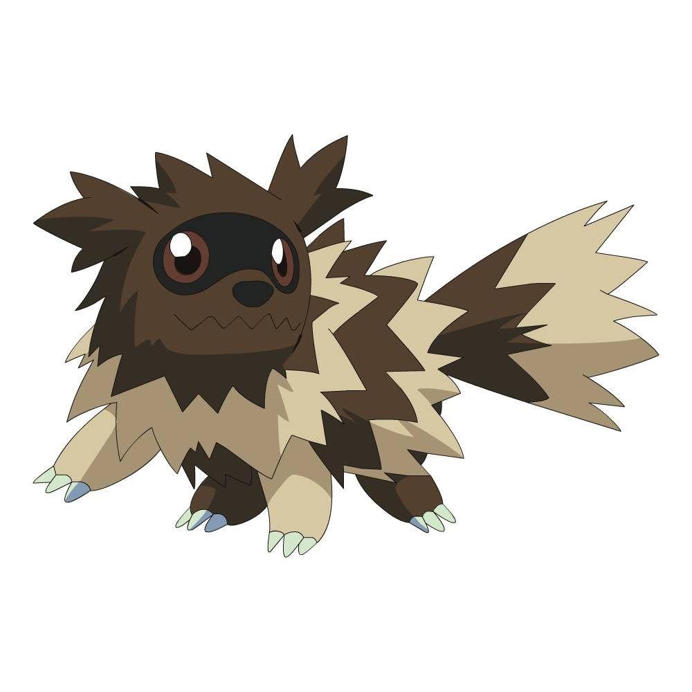 zigzagoon photo