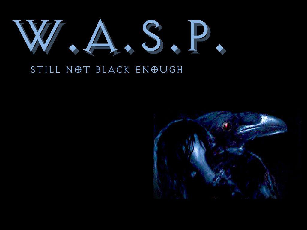 W.A.S.P wallpaper, picture, photo, image