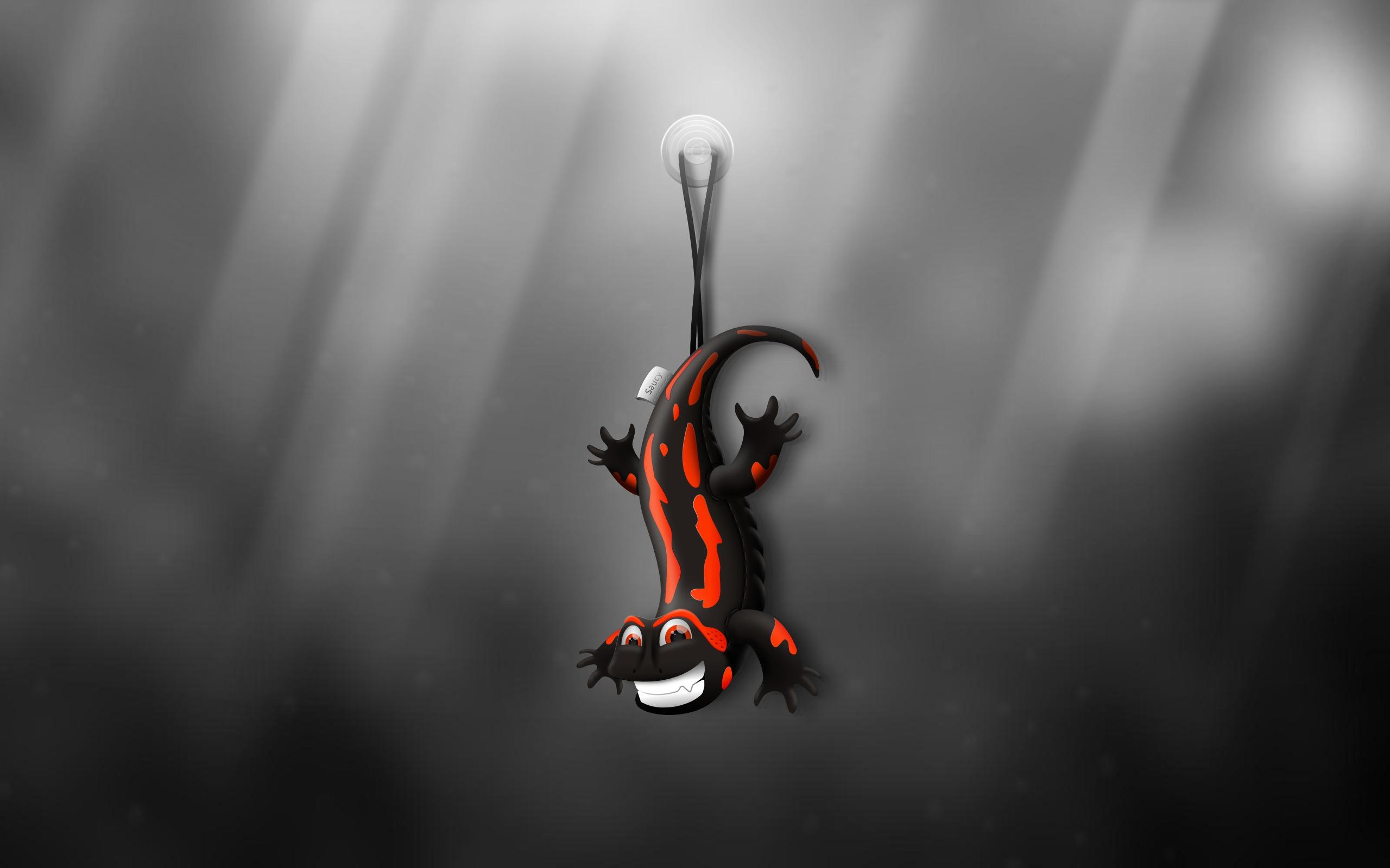 Salamander HD Wallpapers