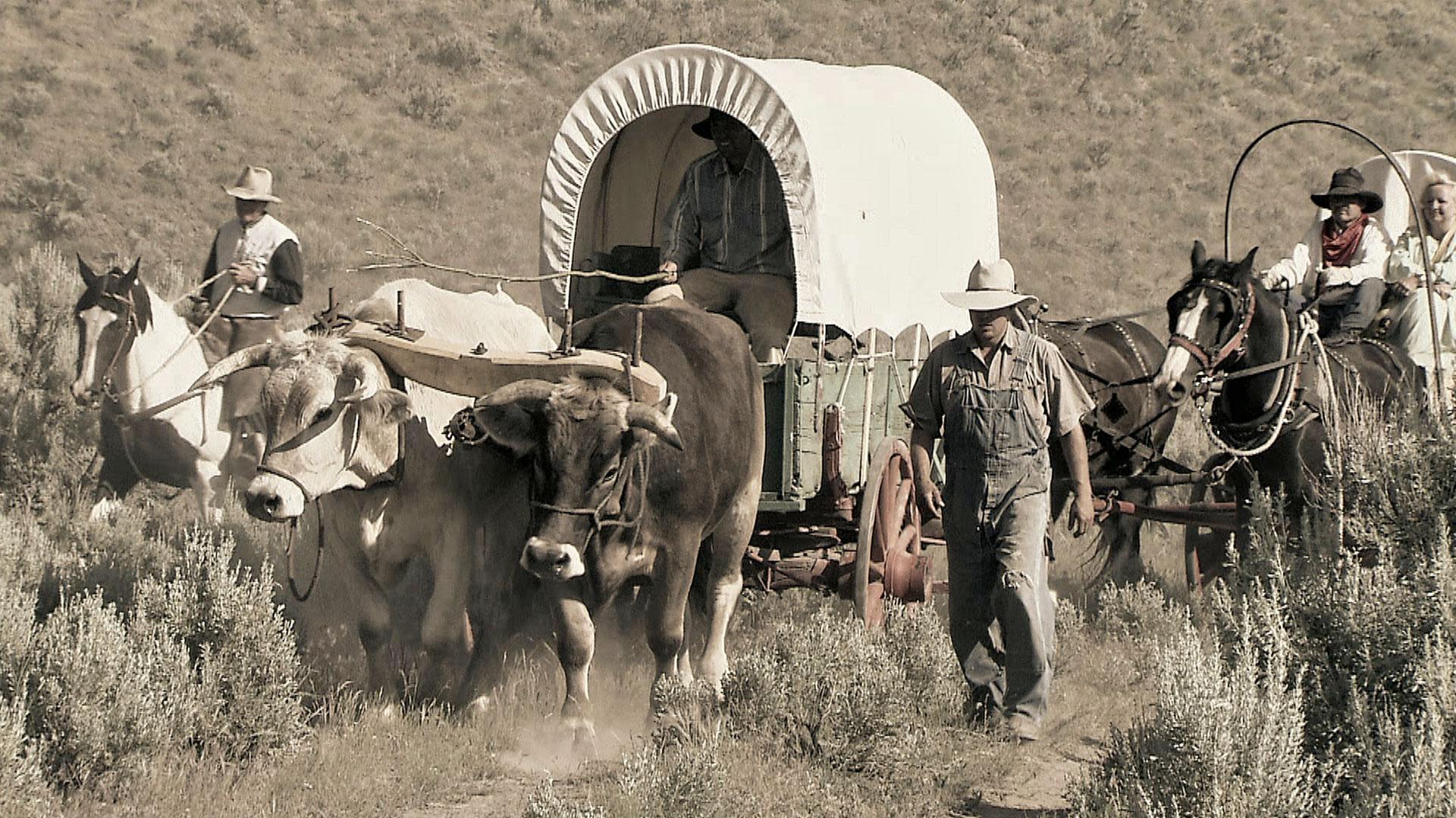 The Oregon Trail: oregon history, social studies, social studies