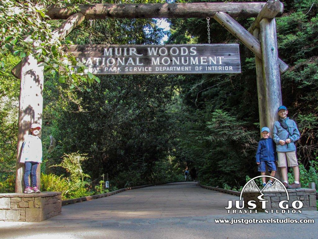 Just Go to Muir Woods National Monument