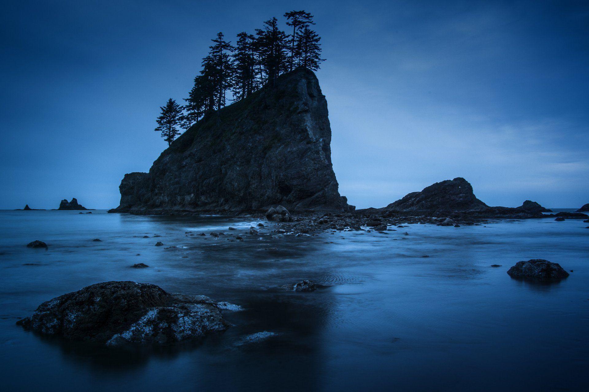 olympic national park washington night rock beach tree HD wallpapers