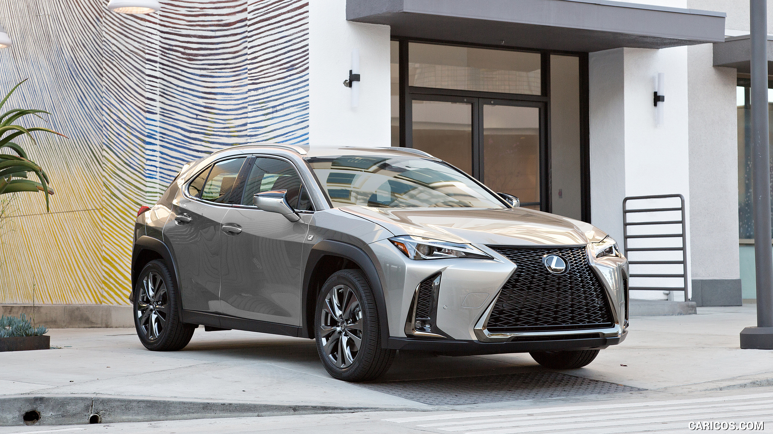 2019 Lexus UX 200 F