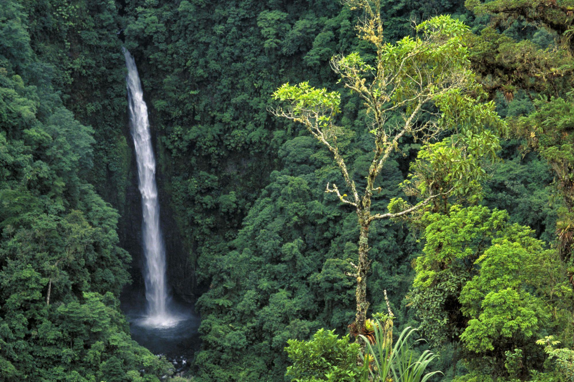 Angel Falls