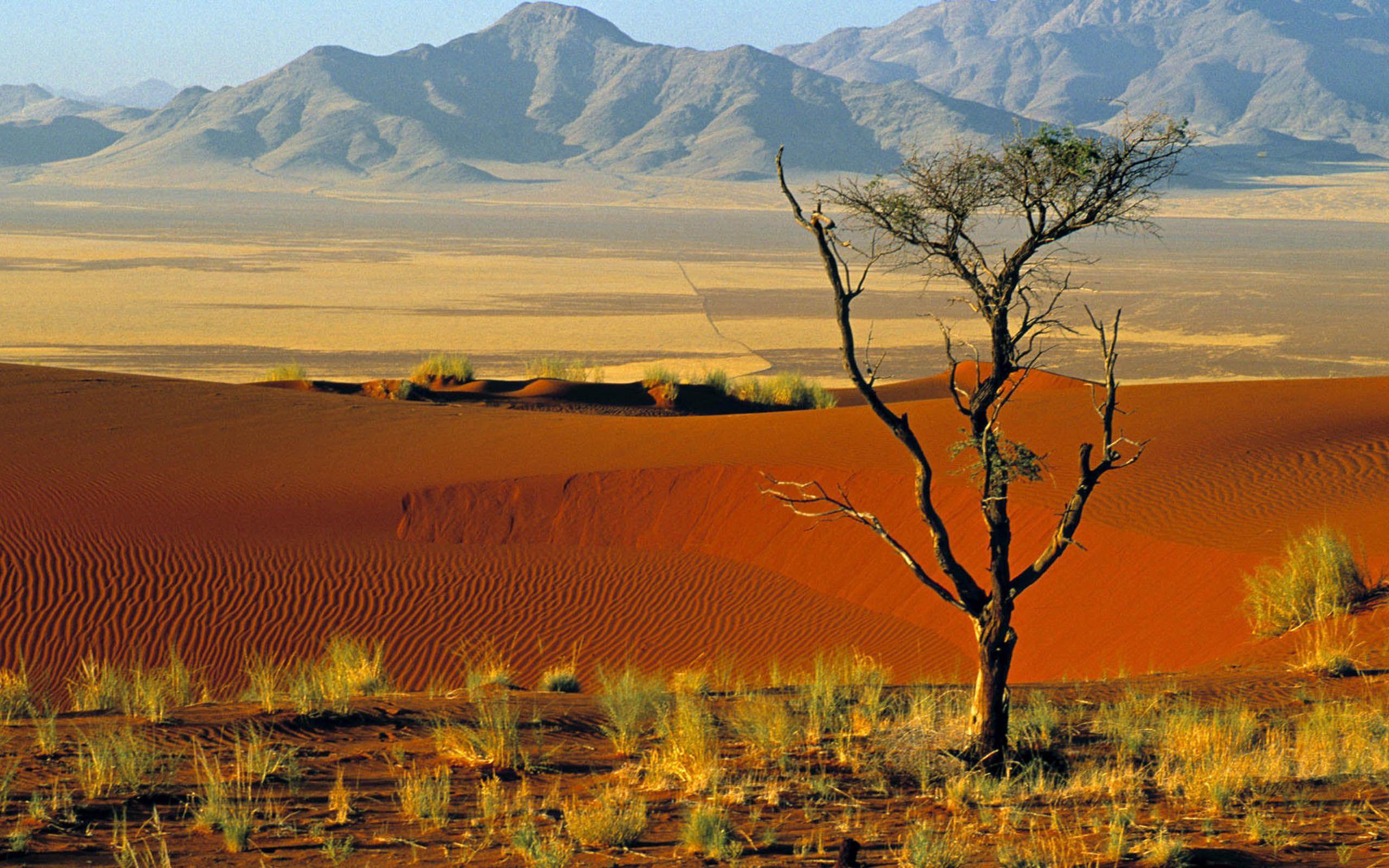 Cristina Nica: Namibia High Quality Wallpapers