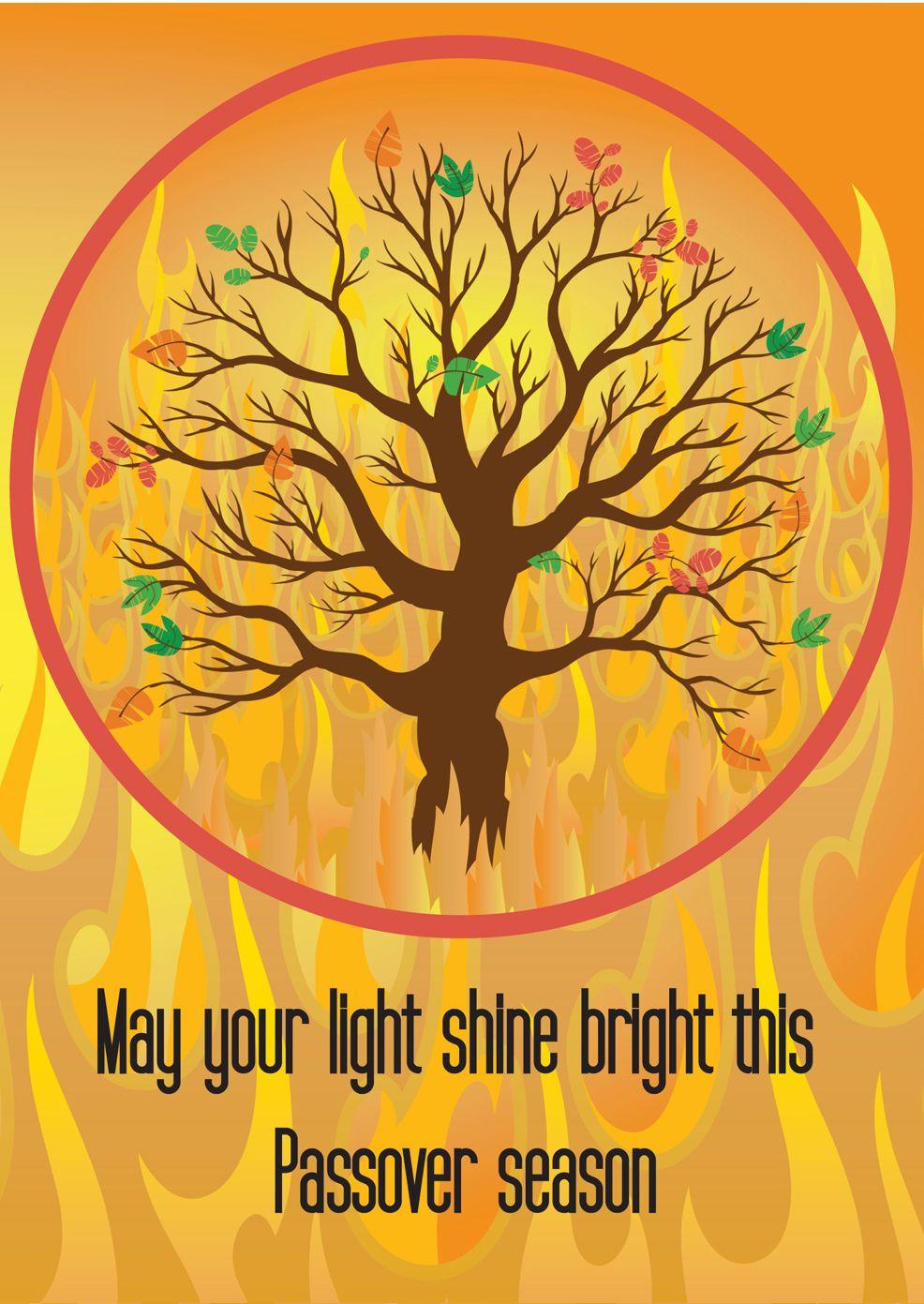 Shine your Light! Passover.